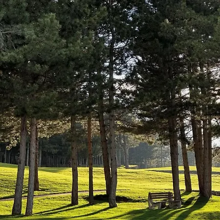Nature Escape To Pirin Golf Razlog